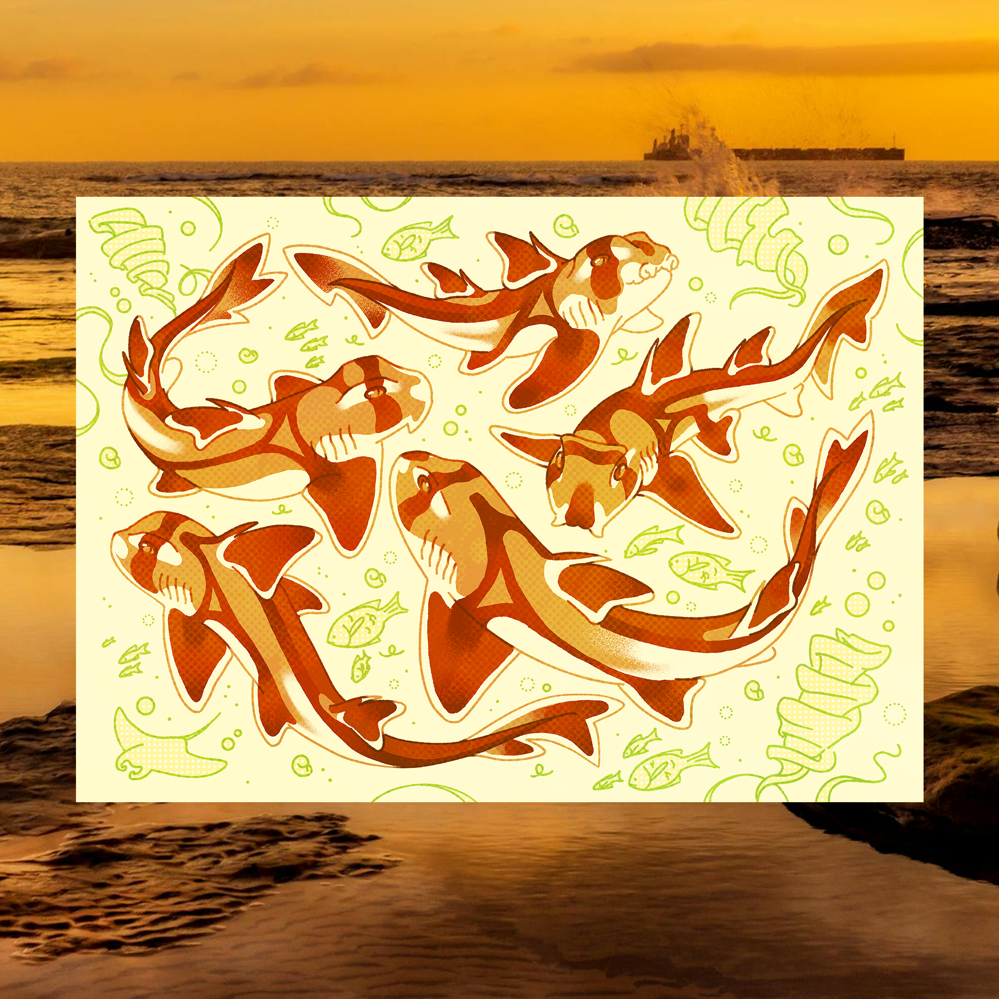 August Port Jackson Shark 5"x7" Fine Art Print