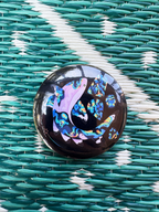 Labradorite Blacktip Reef Shark Button