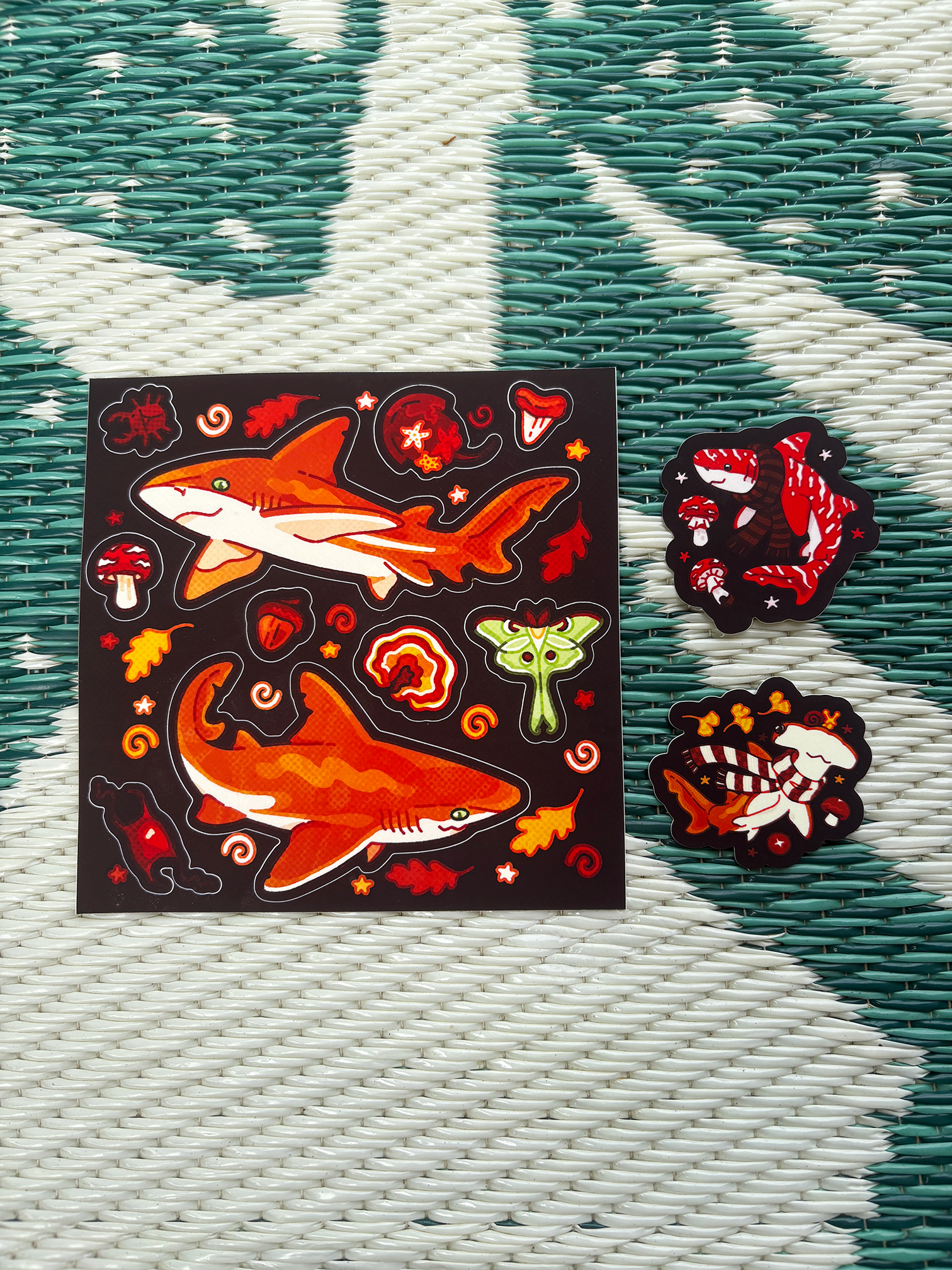 2025 Coelacanth Collector Bundle