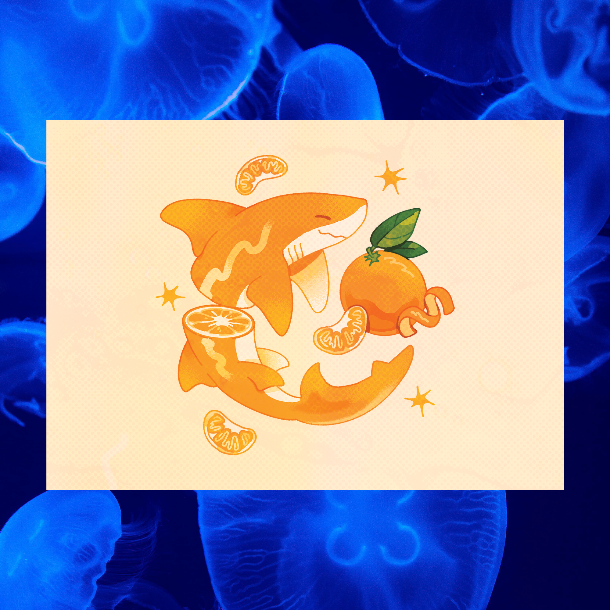 Orange Shark 5"x7" Fine Art Print