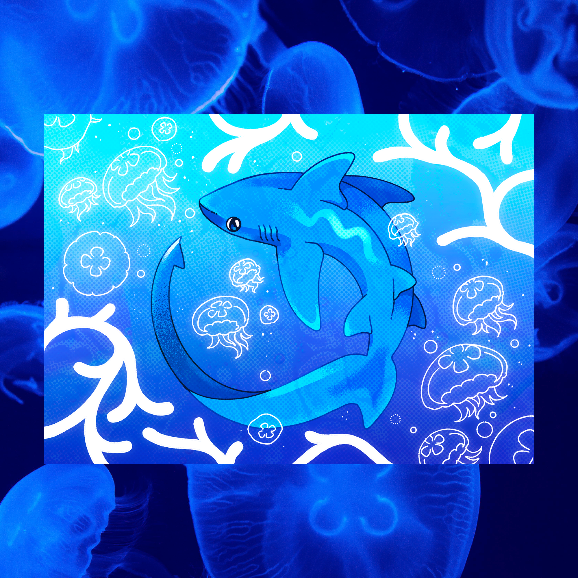 December Thresher Shark 5"x7" Fine Art Print