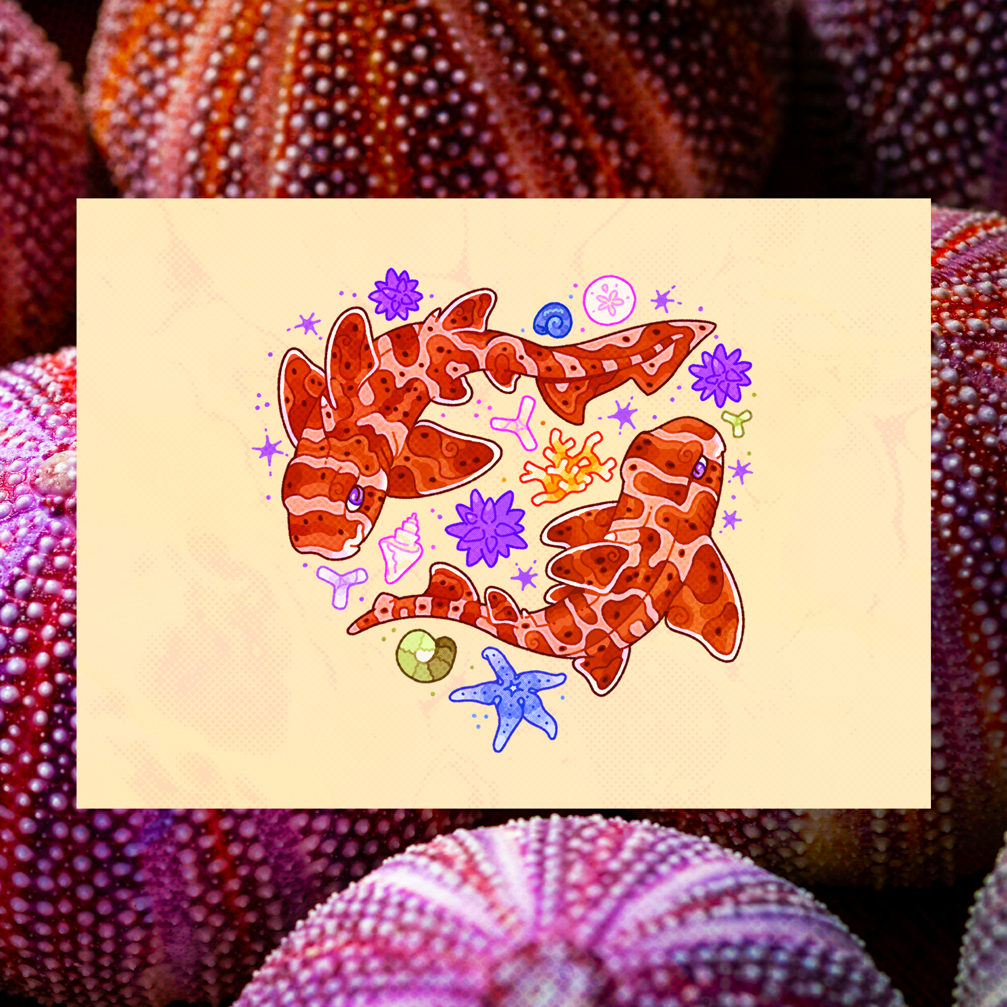 Horn Shark Heart 5"x7" Fine Art Print
