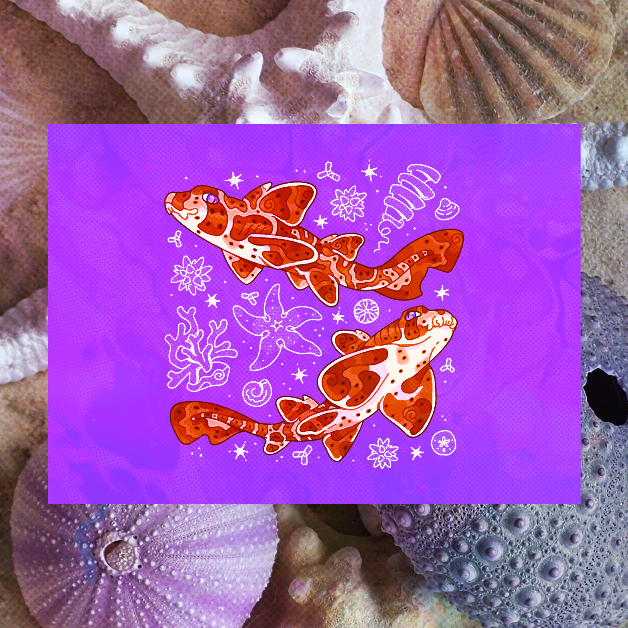 Purple Urchin Horn Sharks 5"x7" Fine Art Print