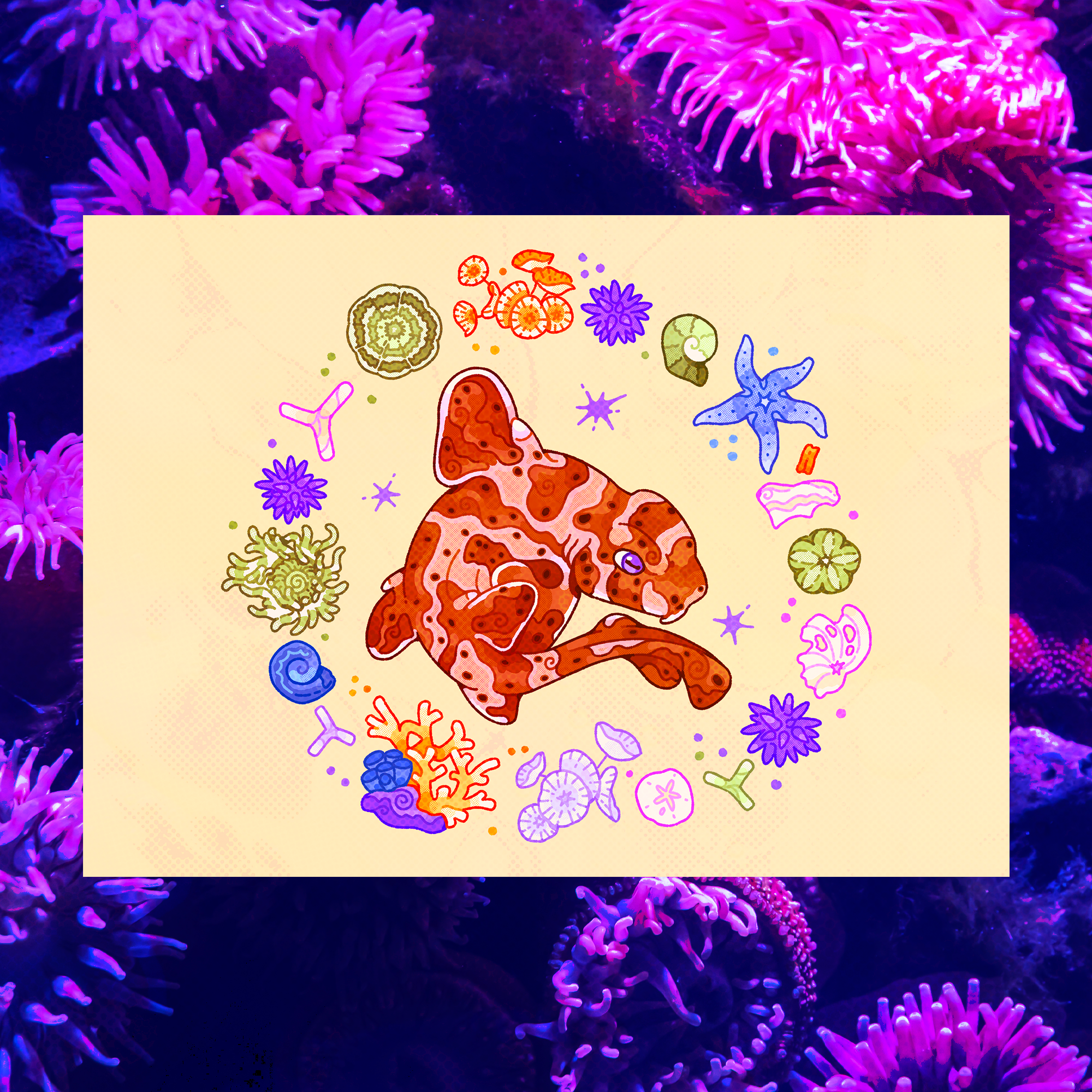 February Horn Shark 5"x7" Fine Art Print
