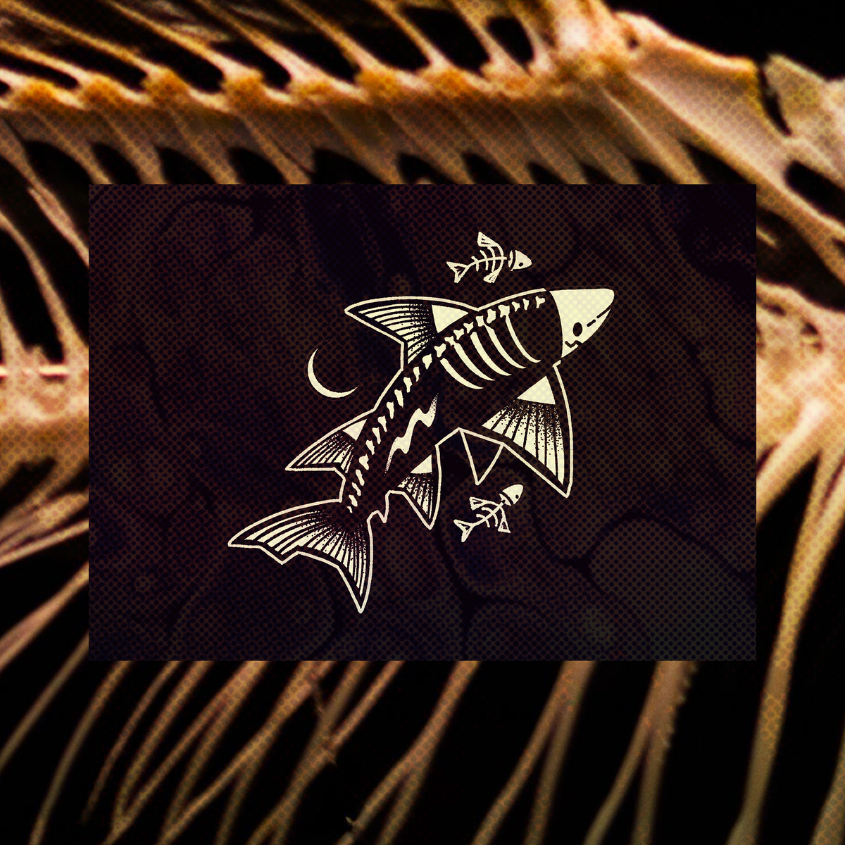 Skeleton Shark 5"x7" Fine Art Print