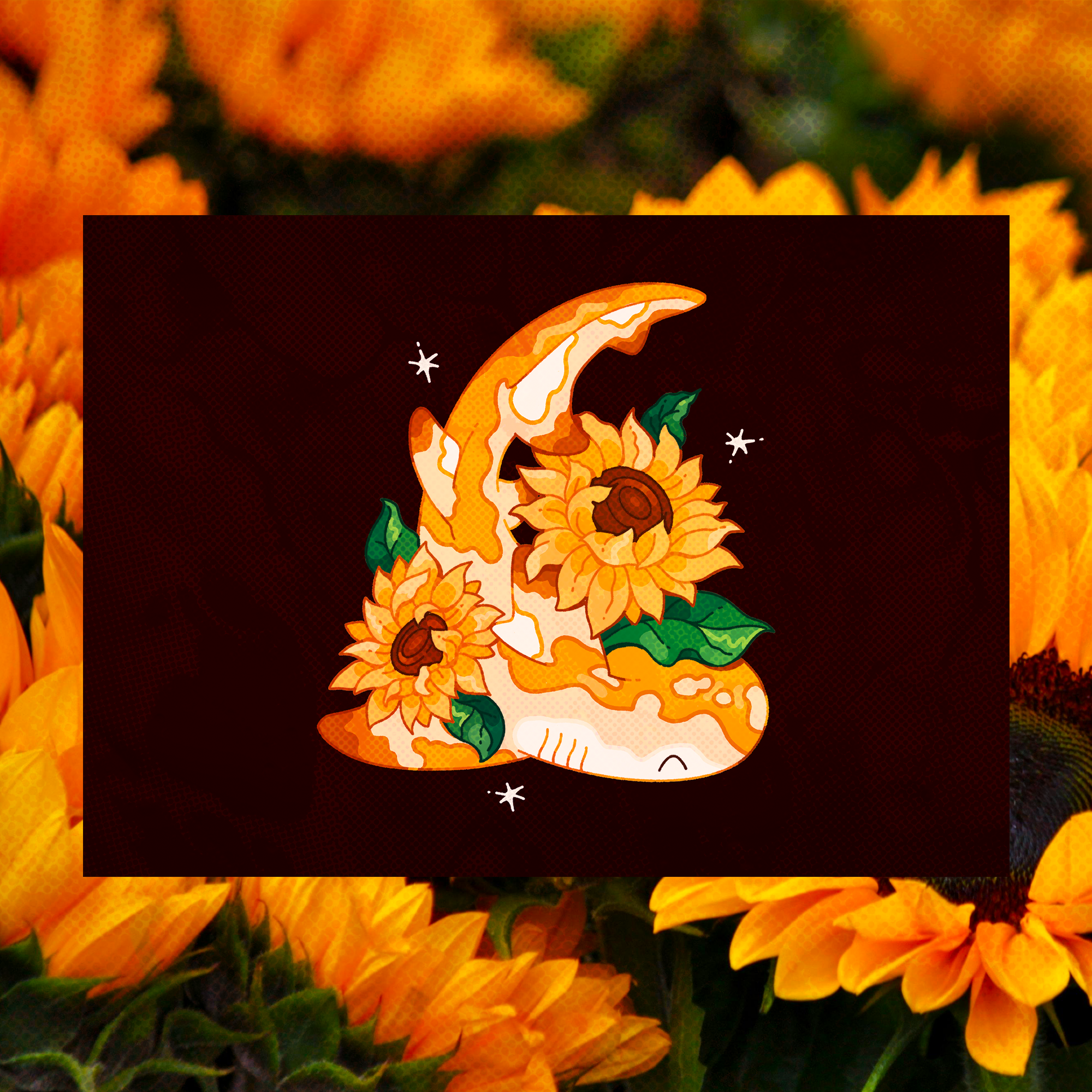 Sunflower Lemon Shark 5"x7" Fine Art Print