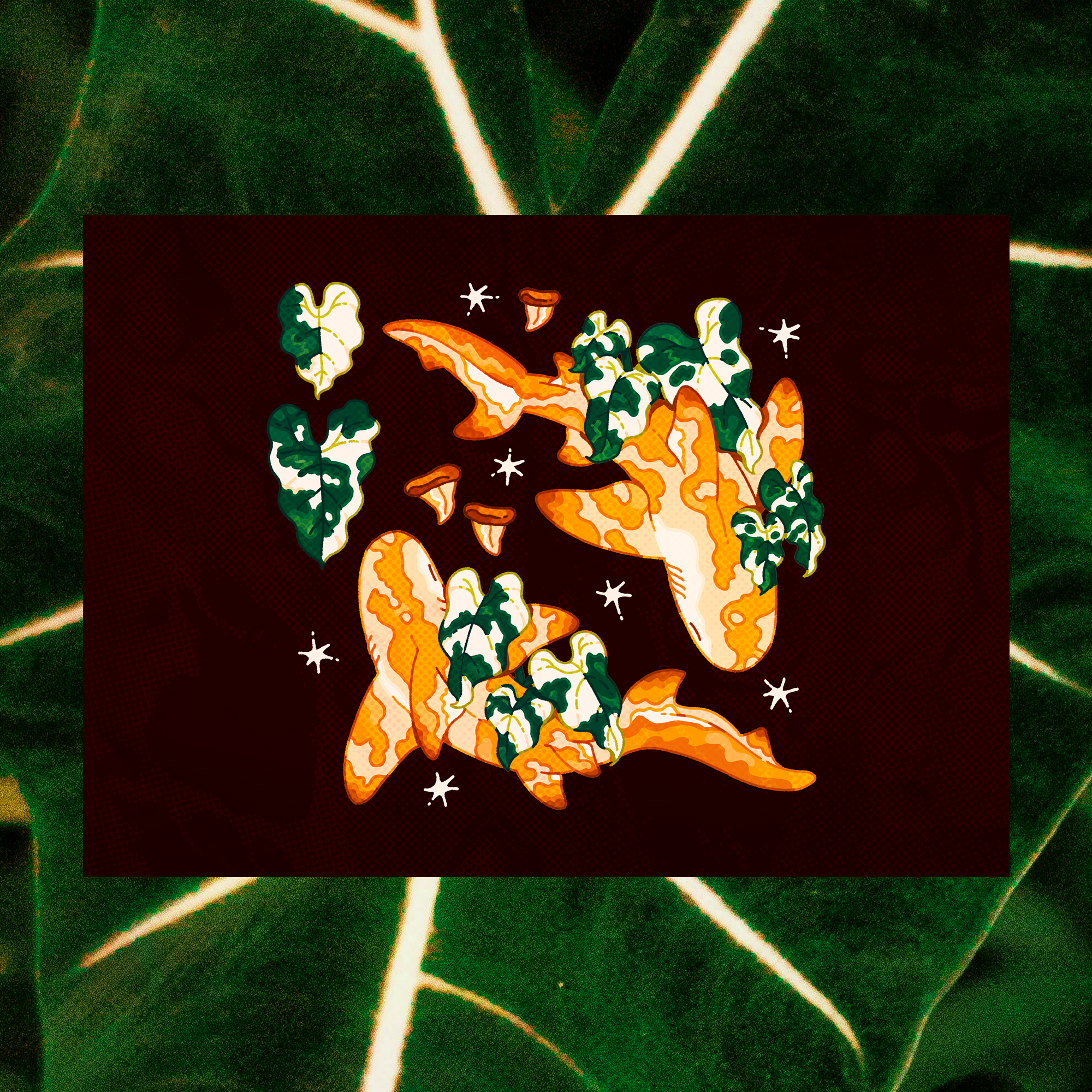 Alocasia Frydek Lemon Sharks 5"x7" Fine Art Print