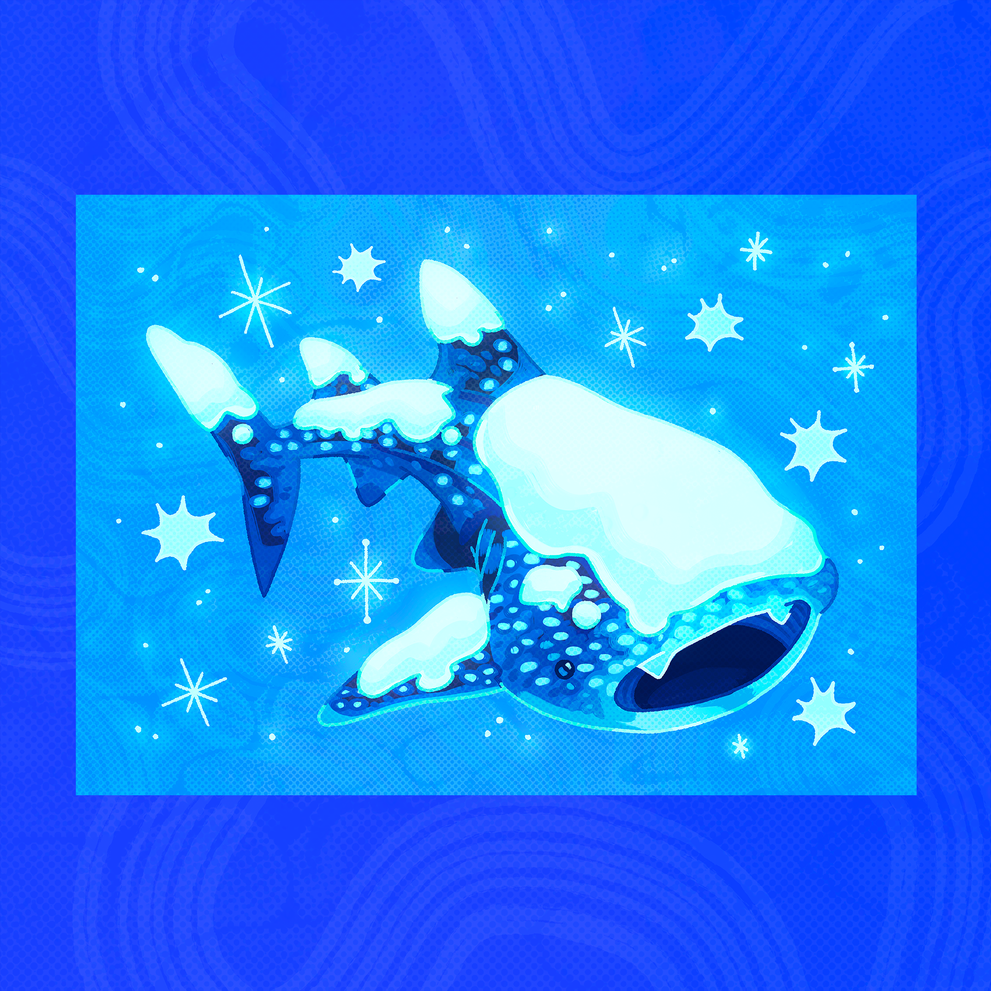 January Whale Shark 5"x7" Fine Art Print