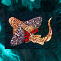 July Zebra Shark 5"x7" Fine Art Print