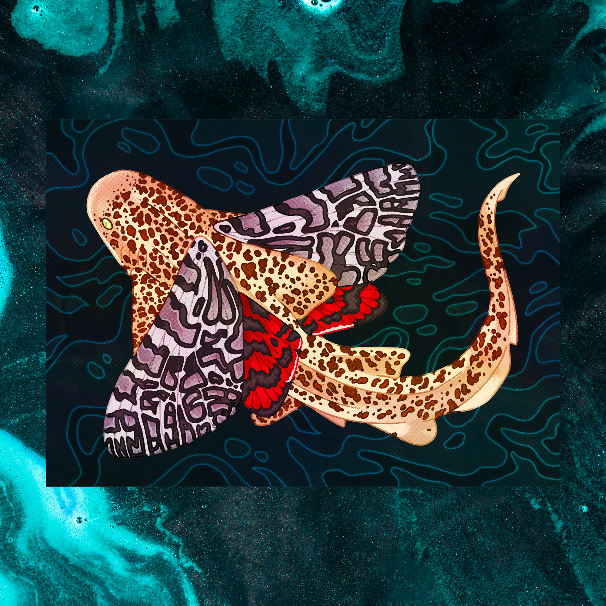 July Zebra Shark 5"x7" Fine Art Print