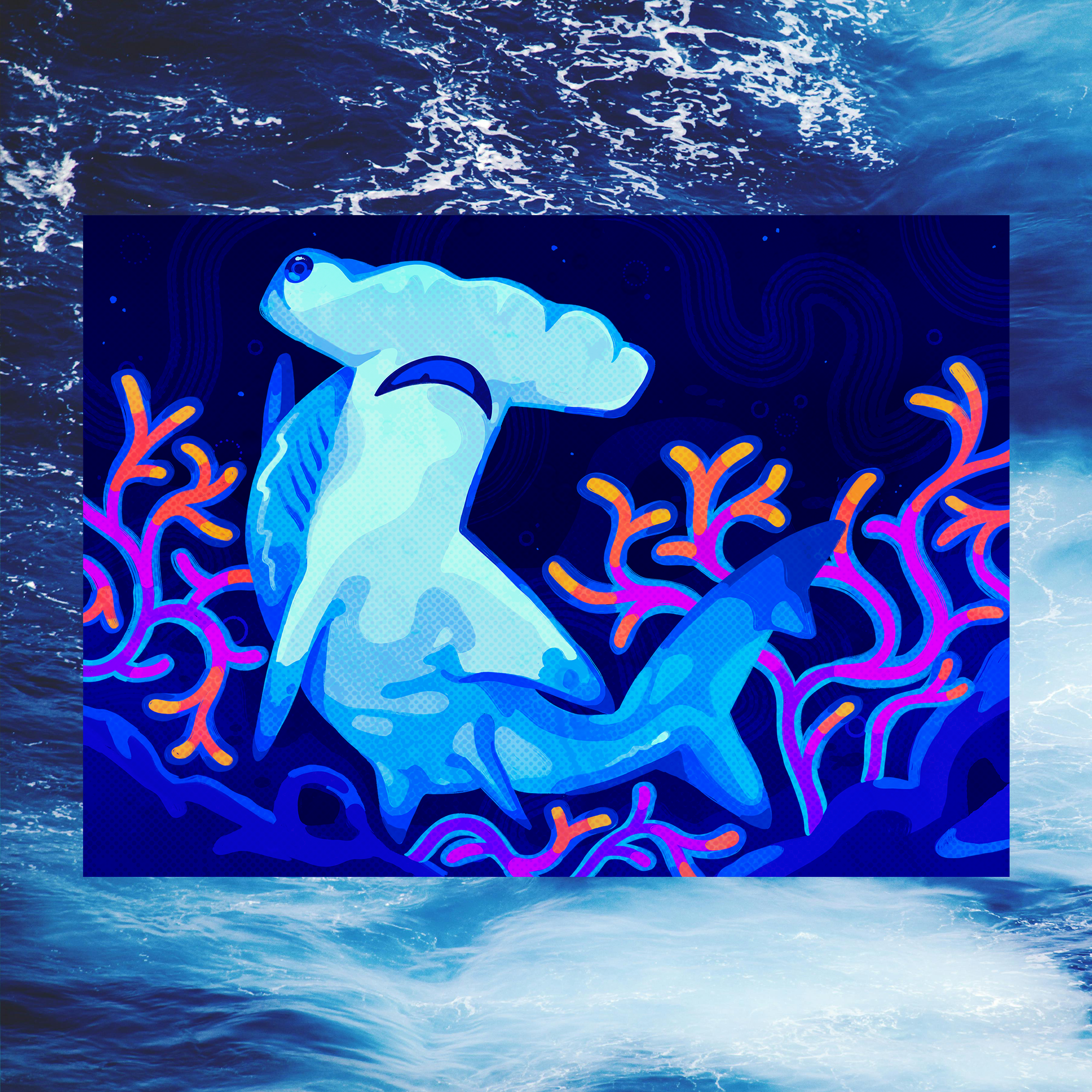 June Hammerhead Shark 5"x7" Fine Art Print