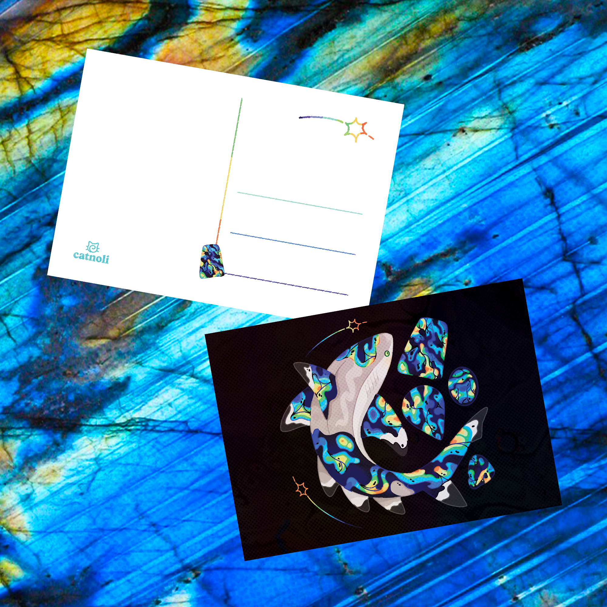 Labradorite Blacktip Reef Shark 5"x7" Postcard