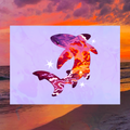 Sunset Shark 5"x7" Fine Art Print