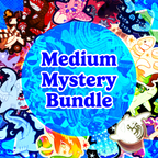 Medium Mystery Bundle
