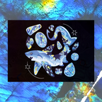 6 Crystal Shark Fine Art Print Bundle