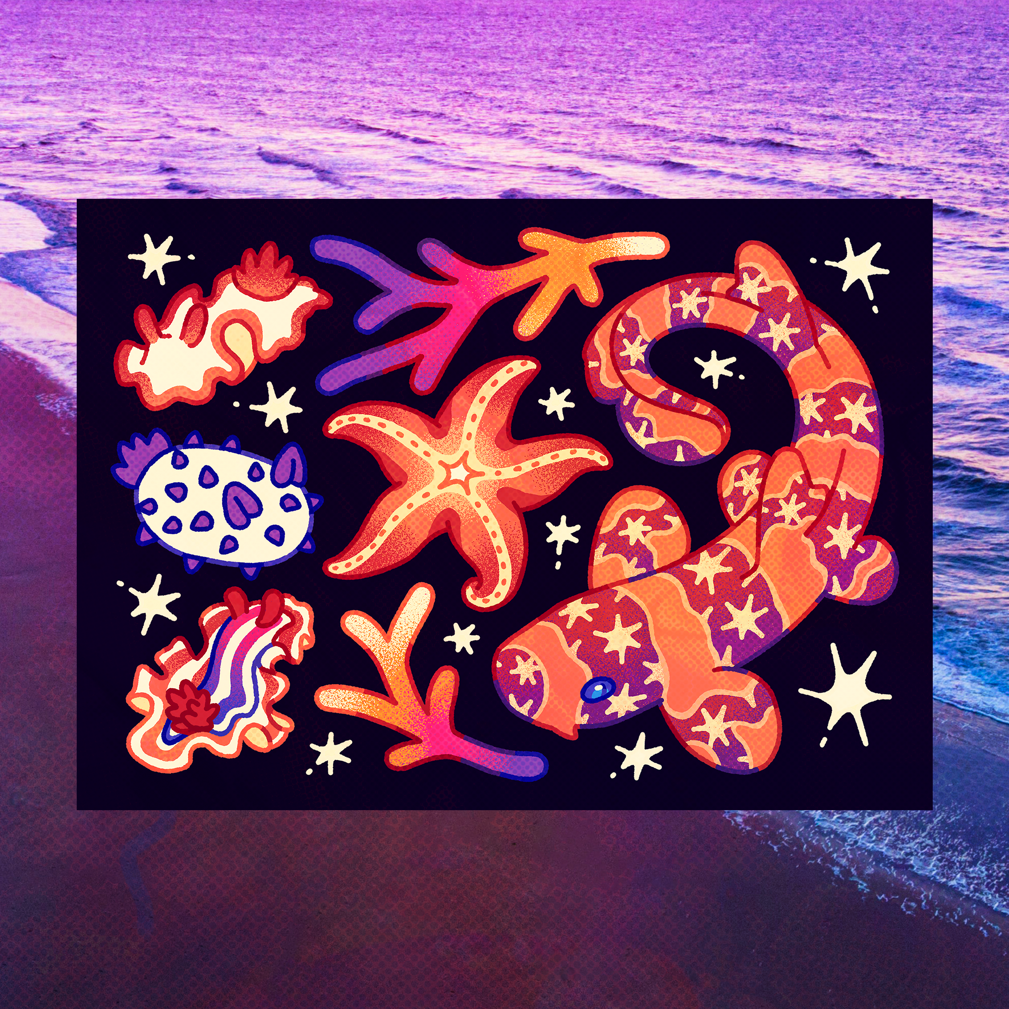 November Bamboo Shark 5"x7" Fine Art Print