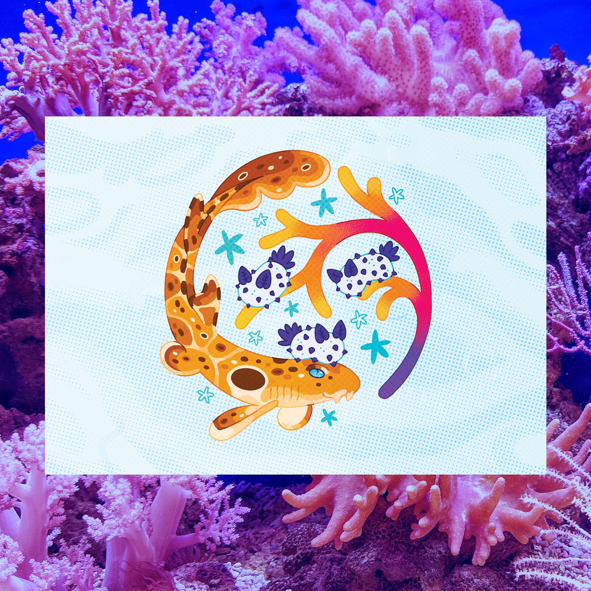 Epaulette Shark and Sea Bunnies 5"x7" Fine Art Print