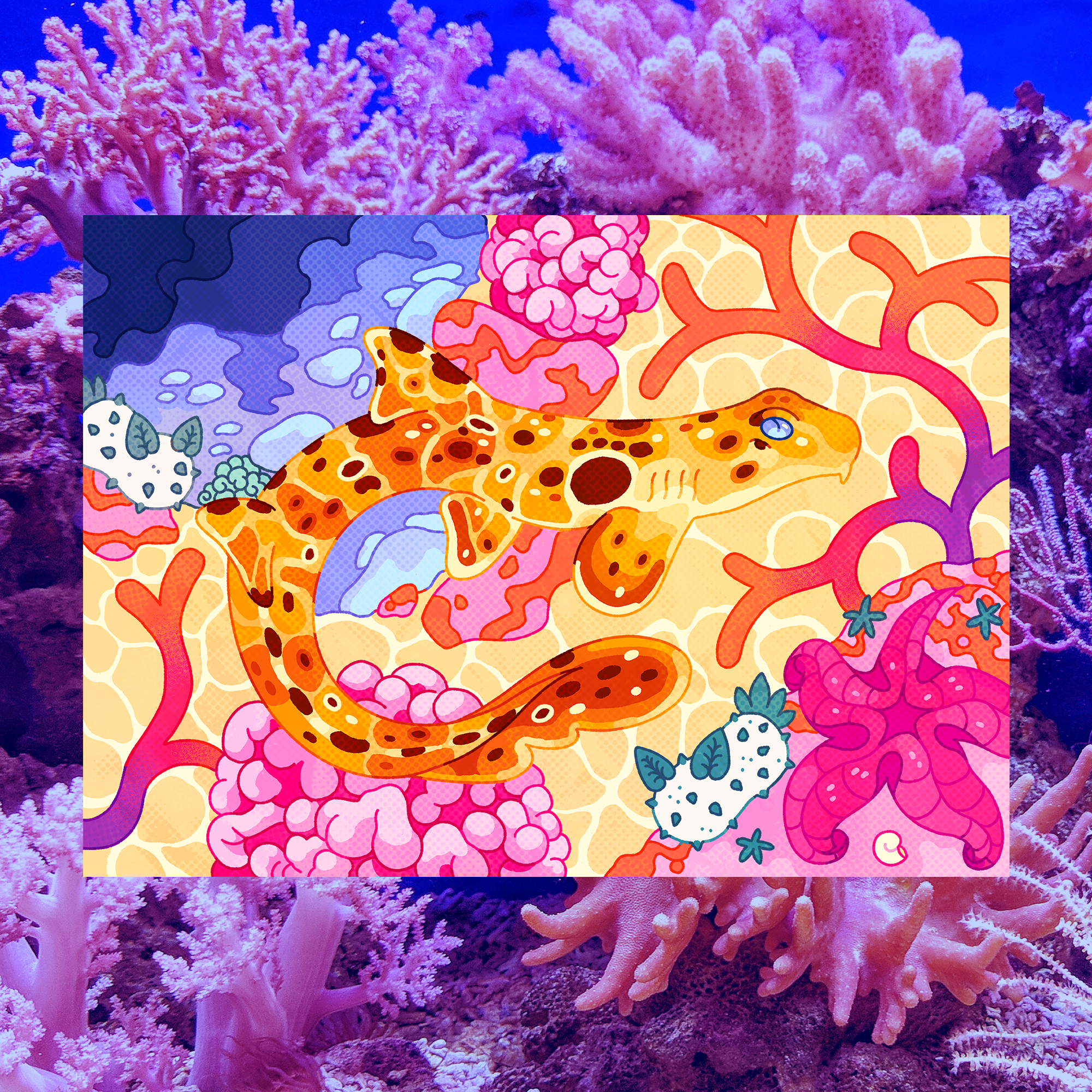 September Epaulette Shark 5"x7" Fine Art Print