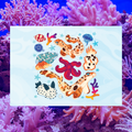 Tide Pool Epaulette Sharks 5"x7" Fine Art Print