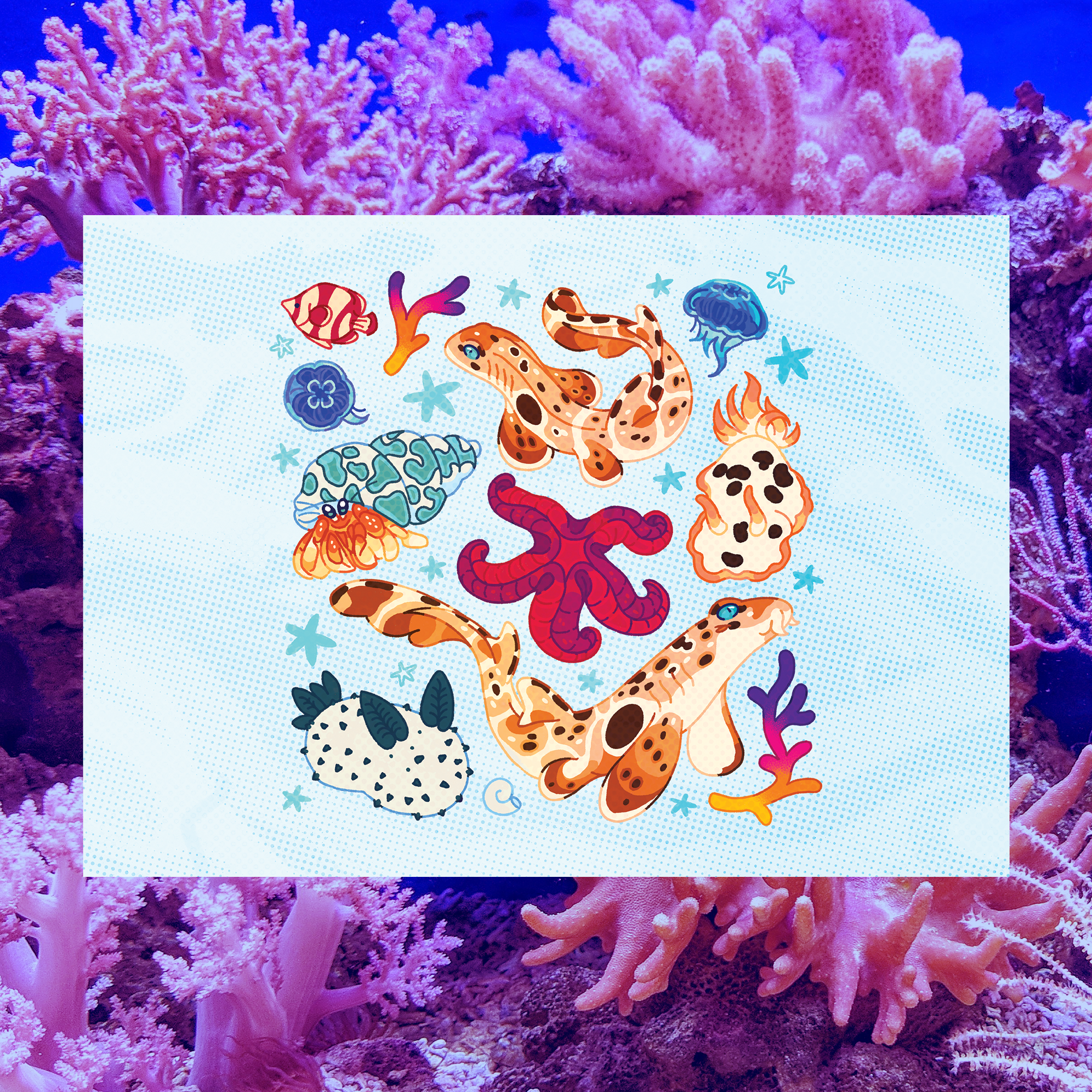 Tide Pool Epaulette Sharks 5"x7" Fine Art Print