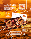 Silly Mail Pelagic Post Subscription