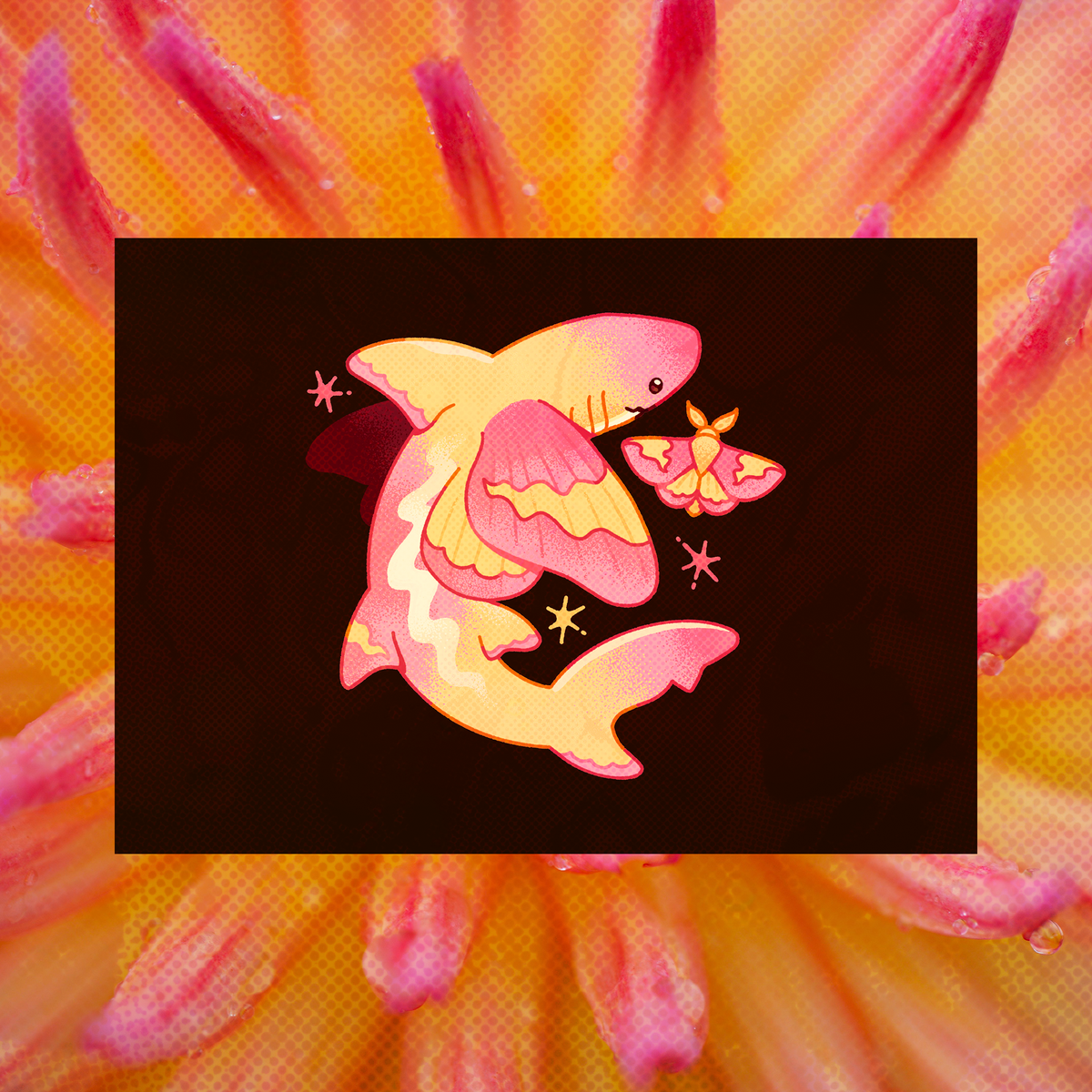 Rosy Maple Moth Shark 5"x7" Fine Art Print