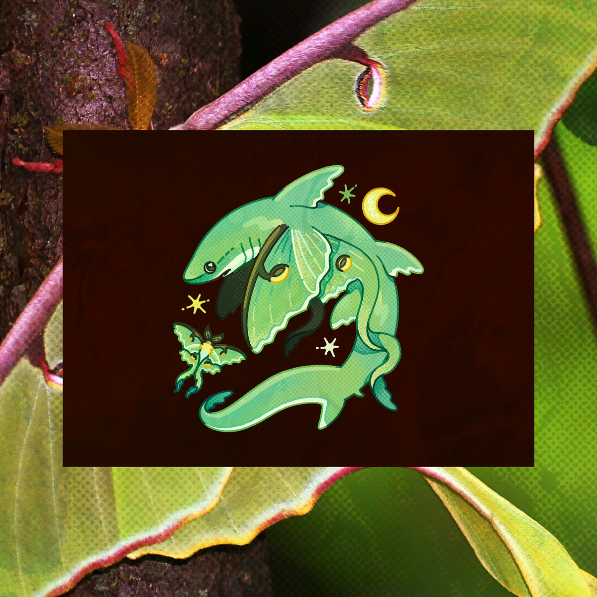 Luna Moth Thresher Shark 5"x7" Fine Art Print